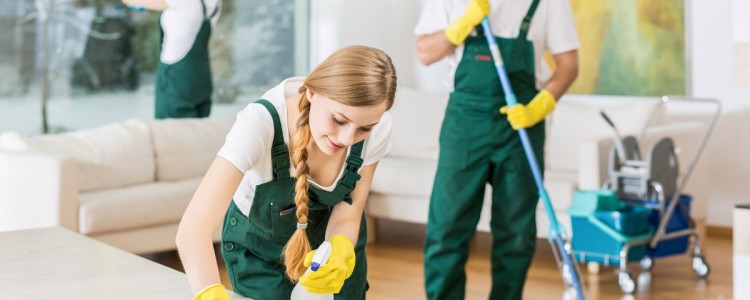 Cleaning Services