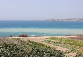 Residential Land  For Sale in Kissonerga, Paphos - SL11603