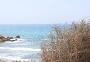  Beach front Land Kissonerga Potima Bay