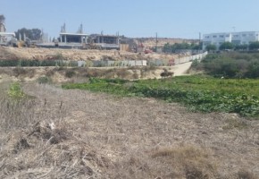  Beach front Land Kissonerga Potima Bay