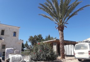 Detached Villa For Sale  in  Coral Bay