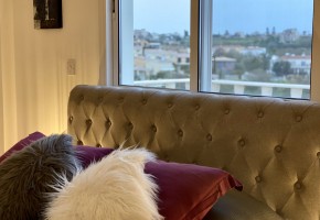 Detached Villa For Sale  in  Chloraka