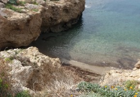 Detached Villa For Rent  in  Chloraka