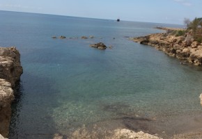 Detached Villa For Rent  in  Chloraka