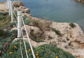 Detached Villa For Rent  in  Chloraka