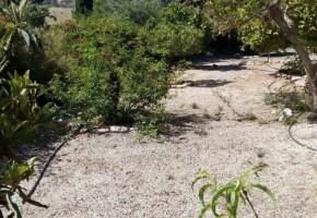 Detached Villa For Sale  in  Pyrgos