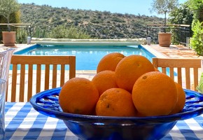 Detached Villa For Sale  in  Aphrodite Hills