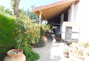 Detached Villa For Sale  in  Mesoyi