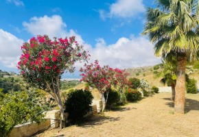 Bungalow For Sale  in  Armou