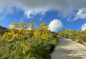 Bungalow For Sale  in  Armou