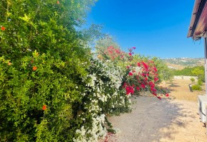 Bungalow For Sale  in  Armou