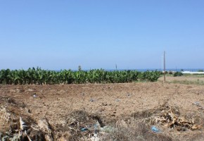Residential Land  For Sale in Kissonerga, Paphos - SL12648