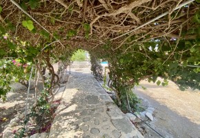 Bungalow For Sale  in  Tala