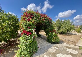 Bungalow For Sale  in  Tala