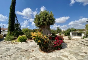 Bungalow For Sale  in  Tala