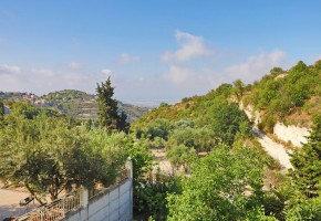 Detached Villa For Sale  in  Tsada
