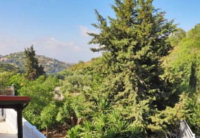 Detached Villa For Sale  in  Tsada