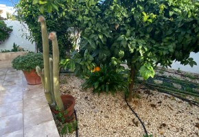 Detached Villa For Sale  in  Emba