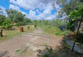 Detached Villa For Sale  in  Agios Dimitrianos