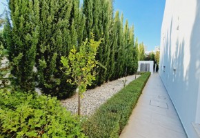 Detached Villa For Sale  in  Sea Caves - St.George