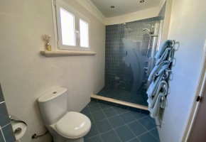 Detached Villa For Sale  in  Akoursos