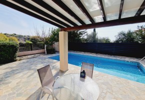 Detached Villa For Sale  in  Anavargos