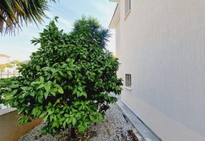 Detached Villa For Sale  in  Anavargos