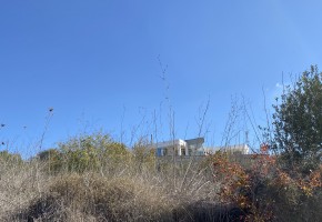 Bungalow For Sale  in  Mesa Chorio