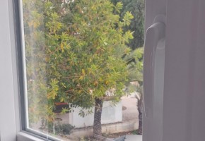 Apartment For Sale  in  Kato Paphos