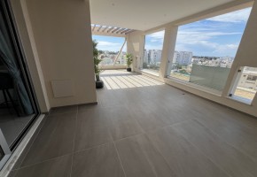 Penthouse For Sale  in  Universal