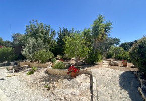 Detached Villa For Sale  in  Aphrodite Hills