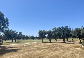 Detached Villa For Sale  in  Aphrodite Hills