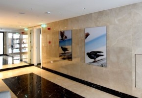 Apartment For Rent  in  Molos