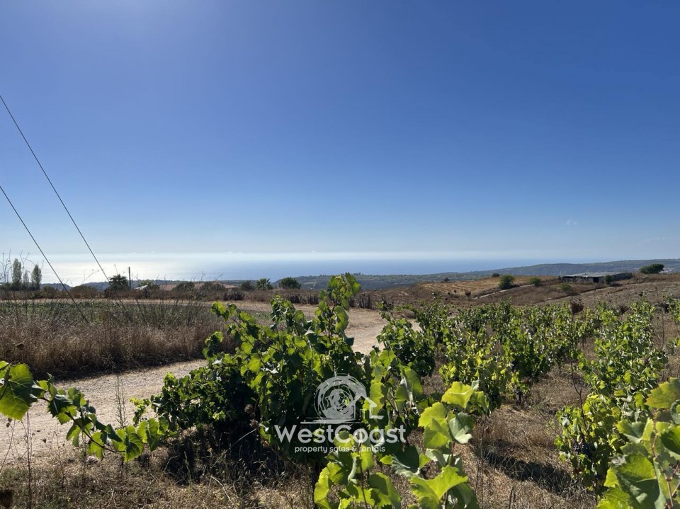 Residential Land  For Sale  in  Kathikas