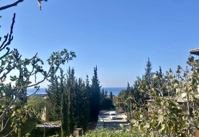 Detached Villa For Sale  in  Aphrodite Hills