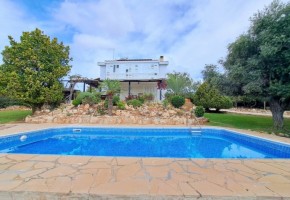 Detached Villa For Sale  in  Peyia