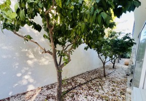 Detached Villa For Sale  in  Tala