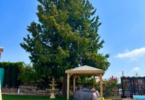 Detached Villa For Sale  in  Tala