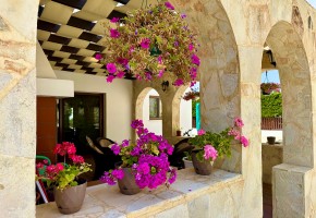 Detached Villa For Sale  in  Tala