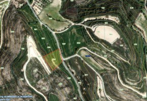 Agricultural Land For Sale in Tsada, Paphos - SL24018