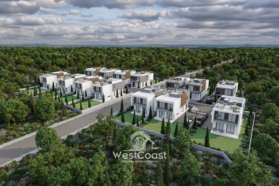 Detached Villa For Sale  in  Mesoyi