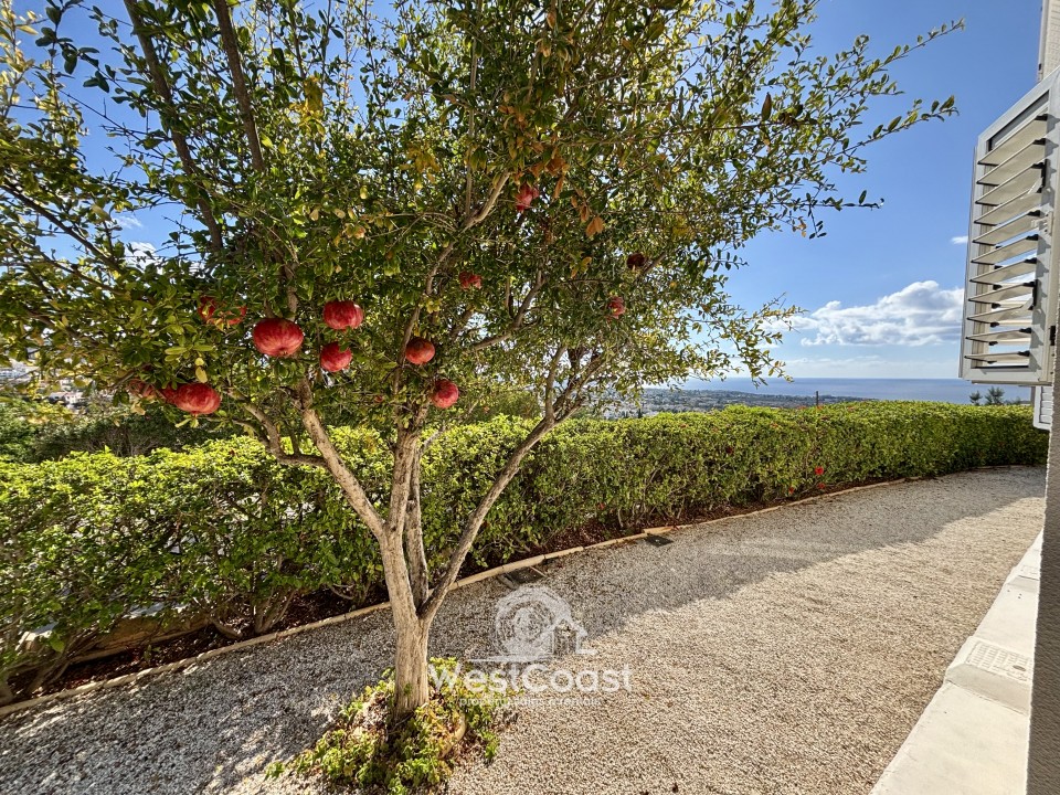 Detached Villa For Sale  in  Peyia