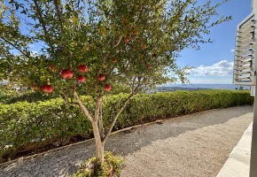 Detached Villa For Sale  in  Peyia