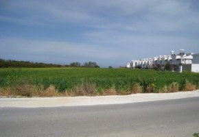 Residential Land  For Sale in Polis, Paphos - SL13213