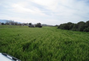 Plot in Latchi, Polis, Paphos