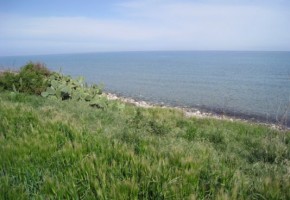 Plot in Latchi, Polis, Paphos