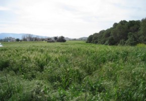 Plot in Latchi, Polis, Paphos