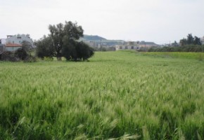 Plot in Latchi, Polis, Paphos