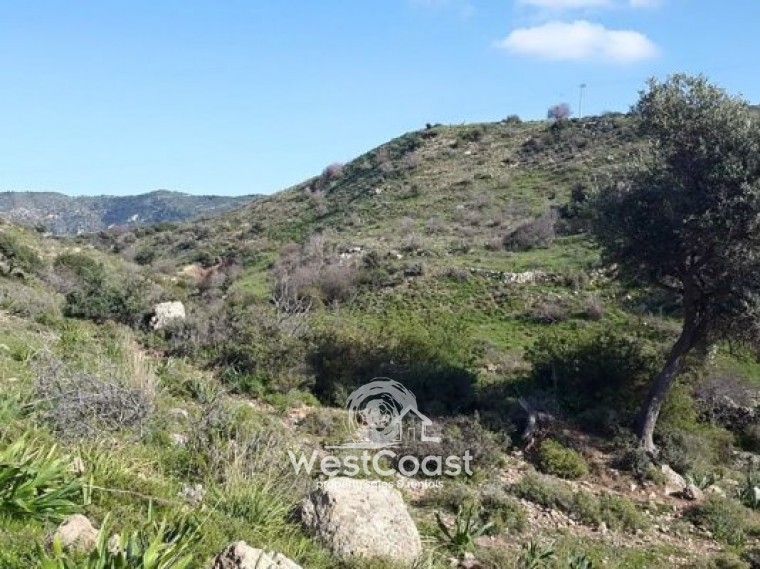 Big plot of land for sale in Pegia Area