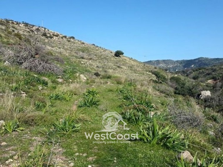 Big plot of land for sale in Pegia Area